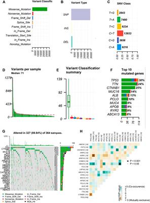Identification of Tumor Mutation Burden and Immune Infiltrates in Hepatocellular Carcinoma Based on Multi-Omics Analysis